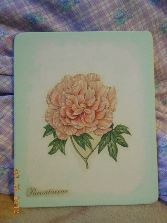 Мои первые работки