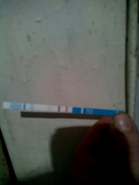 последний тест