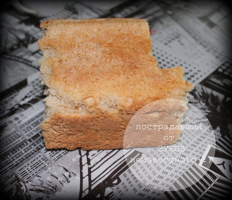 "Наверно это МЫШ ...