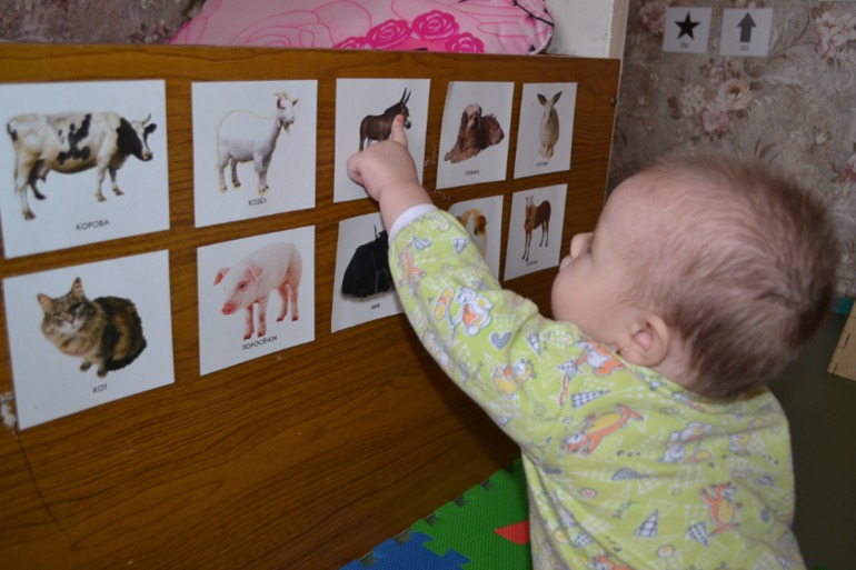 Пластилиновый день (и не только)