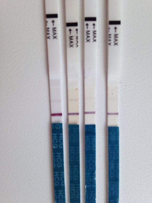 Девочки, доброе утро, как думаете почему тесты не ярчает? Пролет?