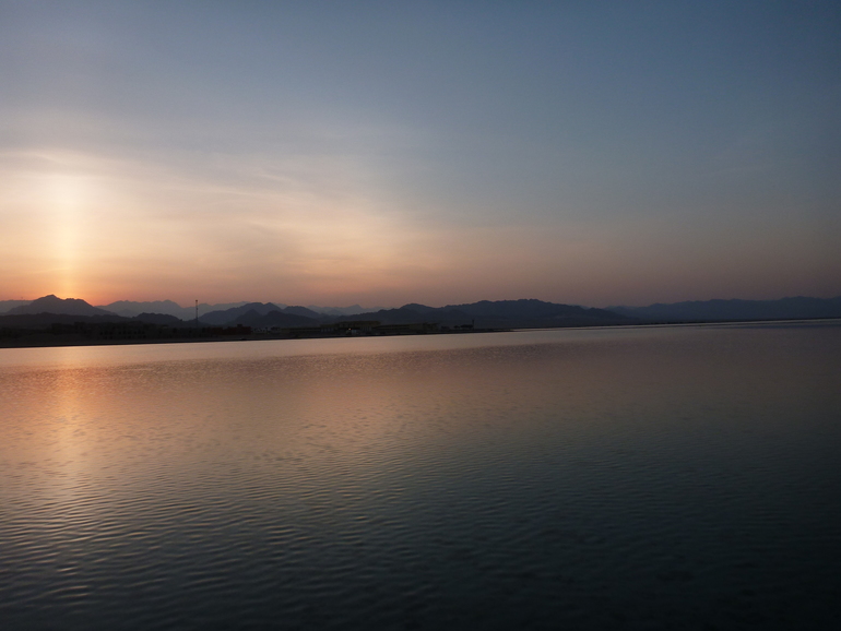 Royal Albatros Moderna 5* Шарм Эль Шейх. Египет.