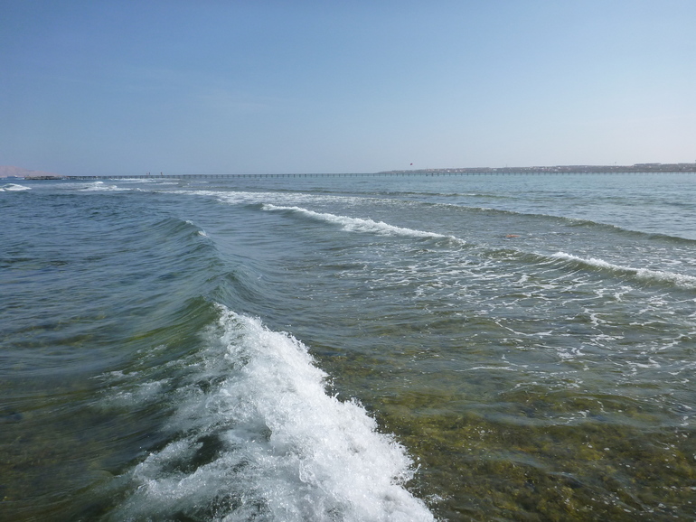 Royal Albatros Moderna 5* Шарм Эль Шейх. Египет.