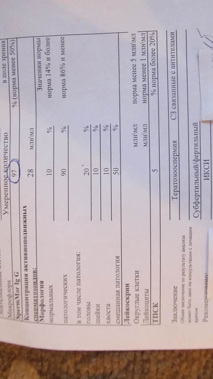 НАША СПЕРМОГРАММА.Помогите,все так плохо?