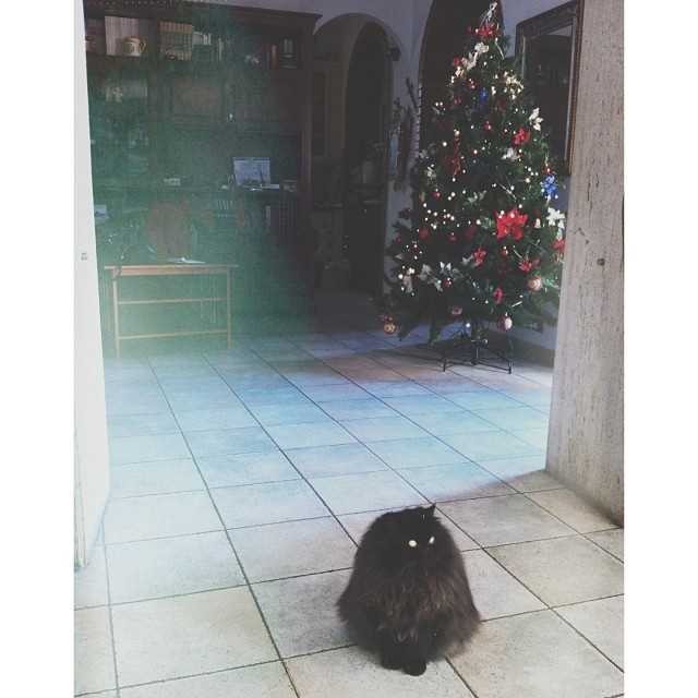 Моей крошке 15я неделя