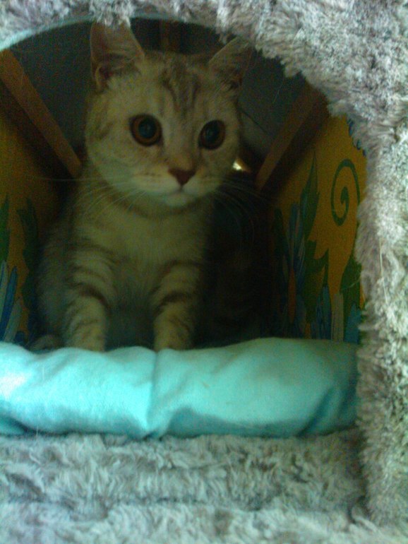 Знакомство с вами!=)