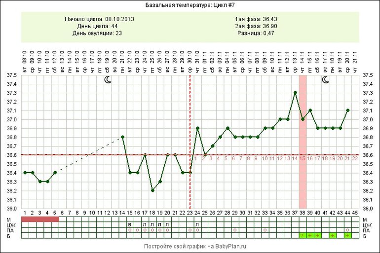 беременный график