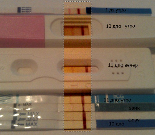 История для тех, у кого угасает вера:-)