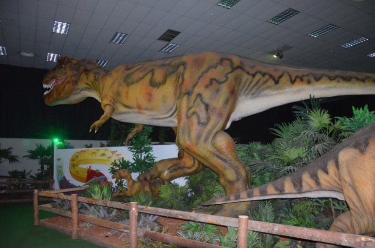 Aquis Zorbas Village и наши поездки по Криту. 2 часть