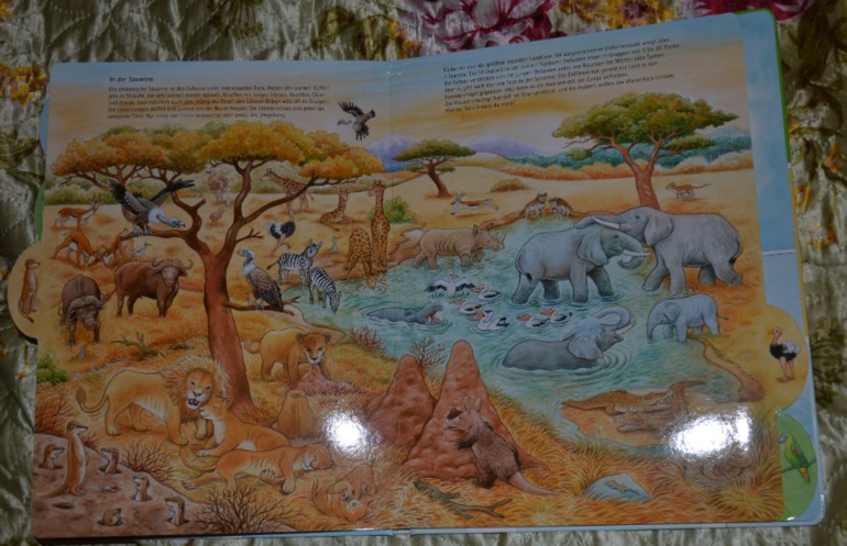 Wimmelbuch.Огромное количество фото