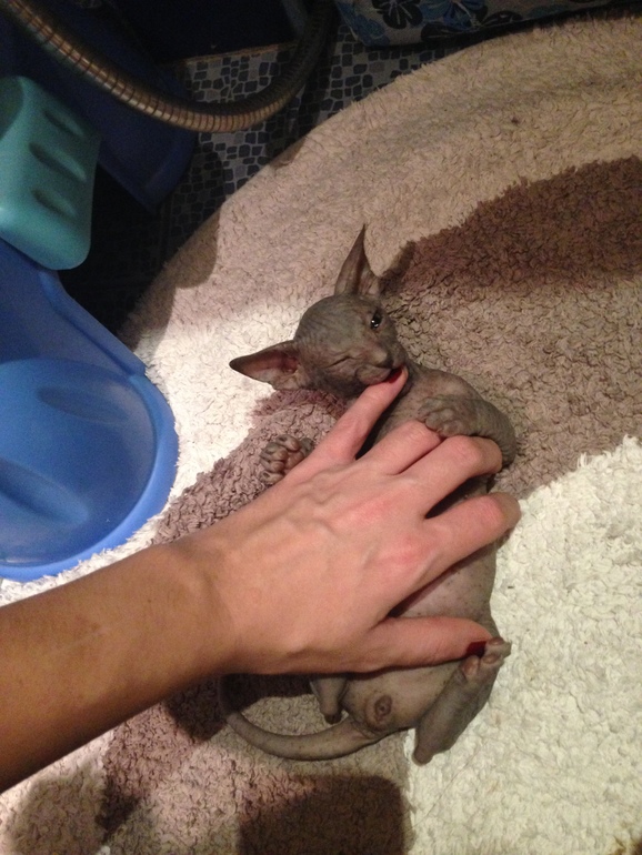 Наши малышастики!!!