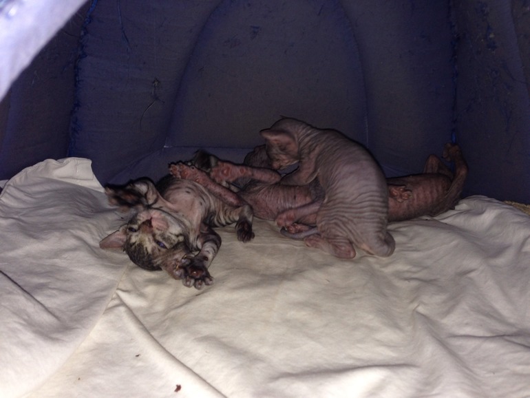 Мой дет.сад))))