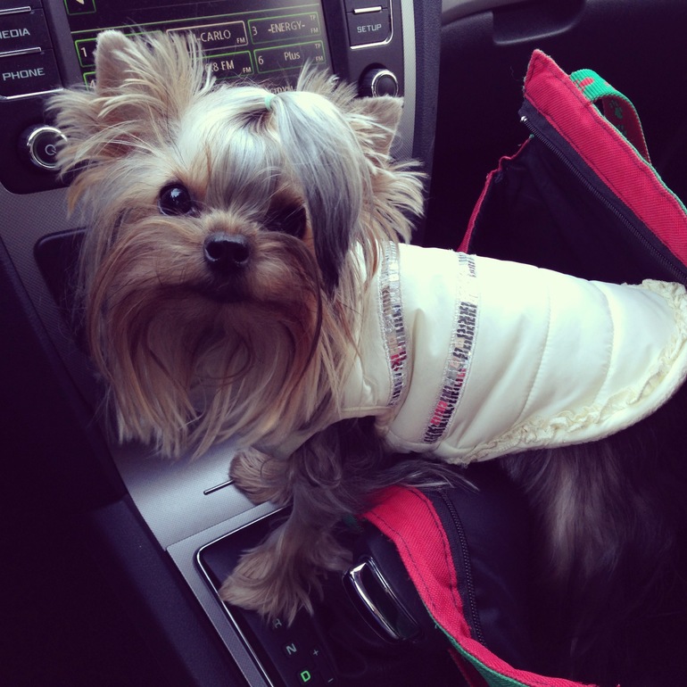 Кукси сладкая девочка)