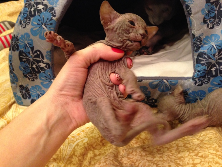 Мой дет.сад))))