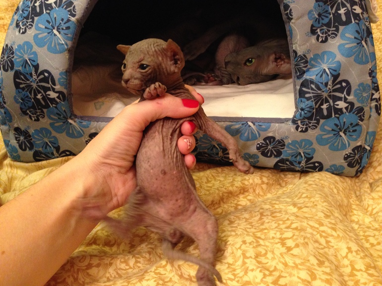 Мой дет.сад))))