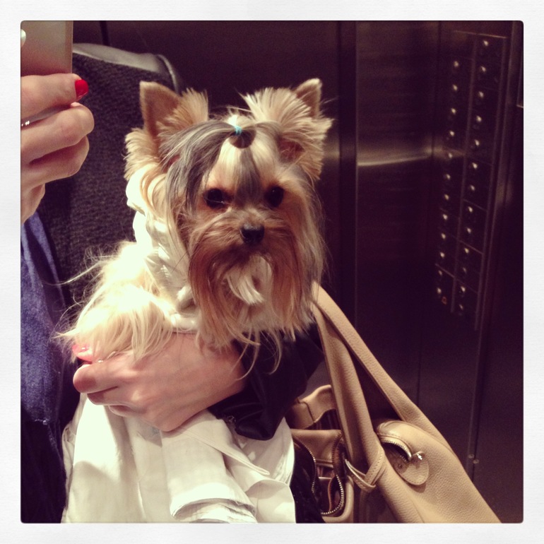 Куськины дела!