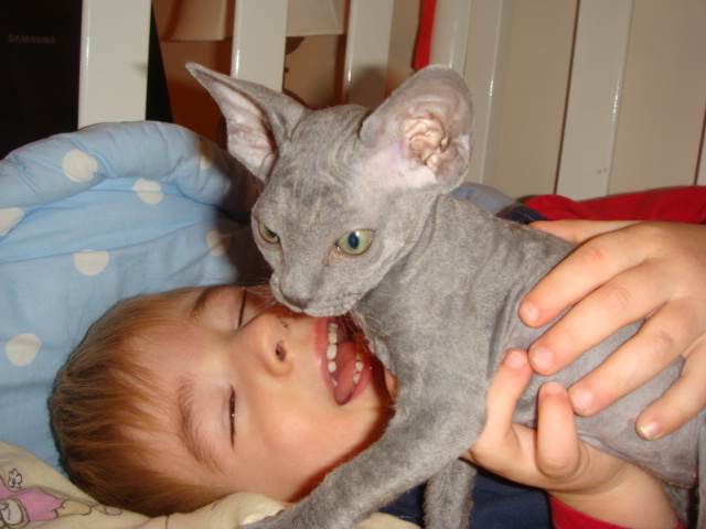 Наши малышастики!!!