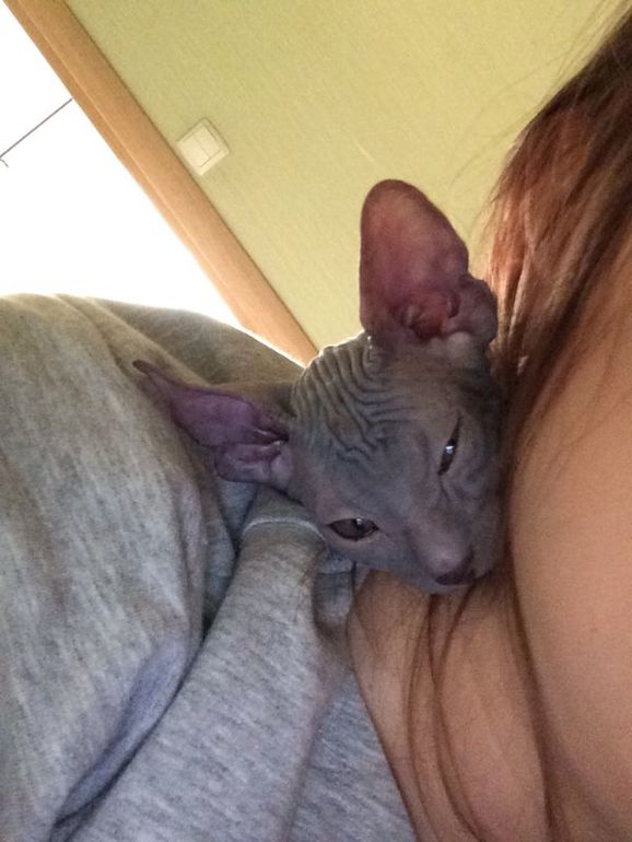 Про наших ушастых деток!)