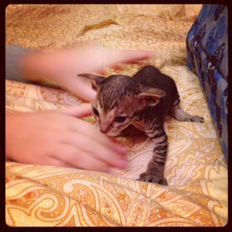 Мой дет.сад))))