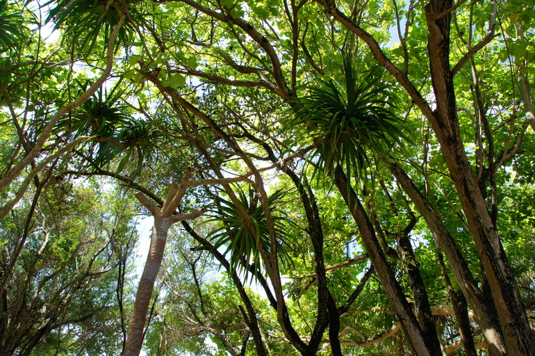 Про Мальдивы с двумя маленькими детьми