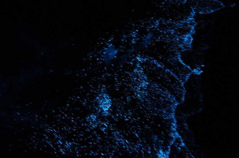 Про Мальдивы с двумя маленькими детьми