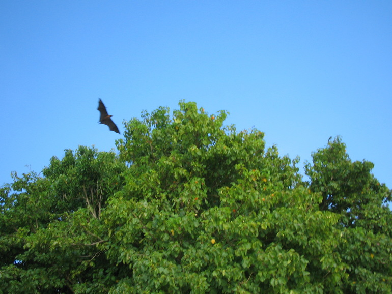 Про Мальдивы с двумя детьми - Часть 2 - Palm Beach Resort