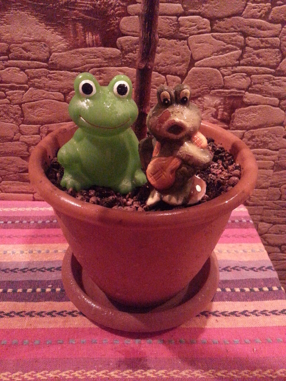 Мои помощники))))))