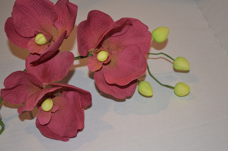 Мои первые настоящие сахарные орхидеи!!!!