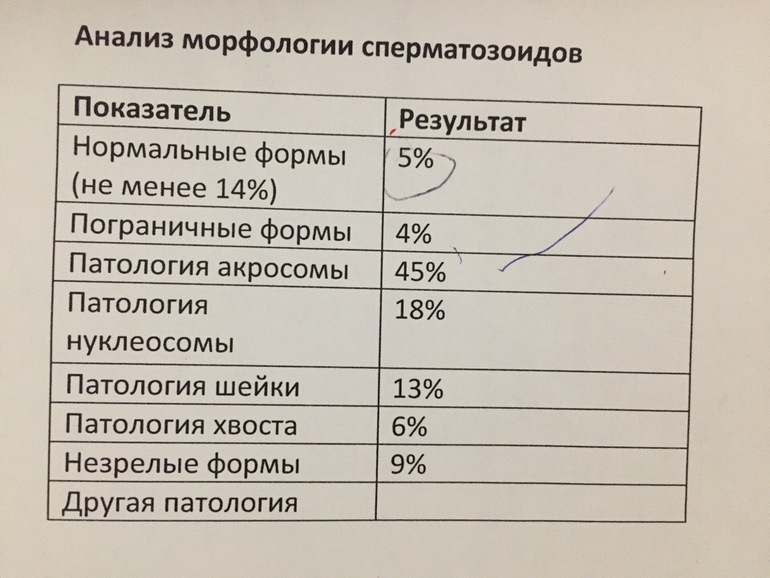 Простые методики как улучшить качество спермограммы