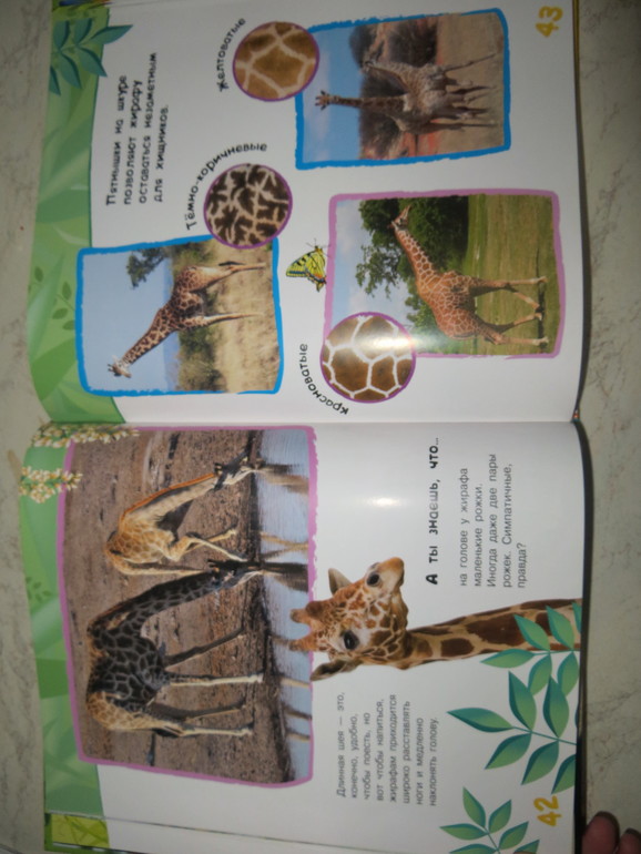 Энциклопедия животных для малышей