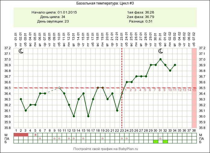 Мой график. Овуляция при цикле 27. 34 День цикла. Цикл 27 дней когда овуляция. Тест на овуляцию 27 дней цикл.