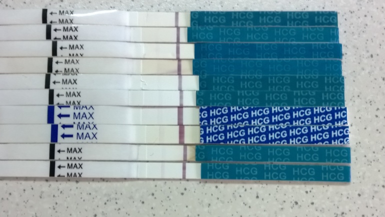 9e186eda786ee9cc9d6e83ea5b5b63de.jpg
