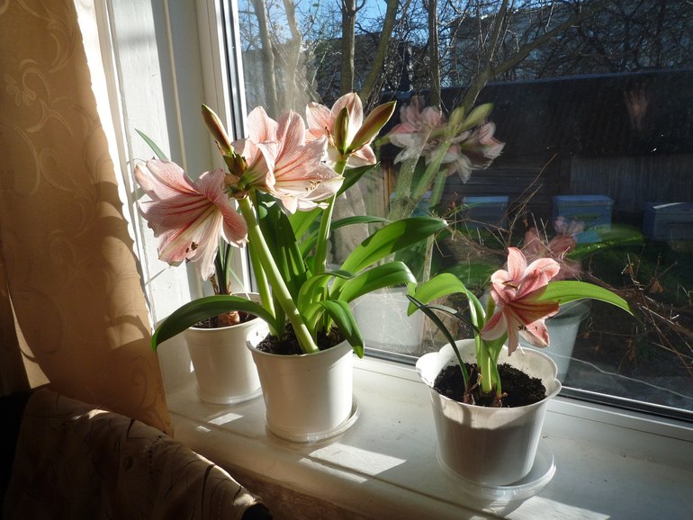 Немножко красоты