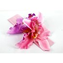 Пристрой Индия, Оксва