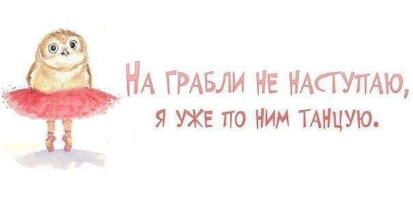 895cf7ec0b975293d8c7881ec505162b.jpg