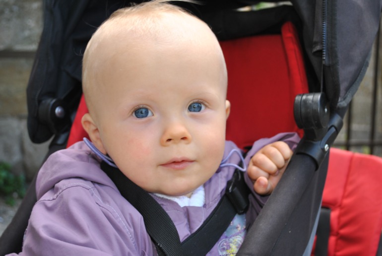 Франция: Каркассон