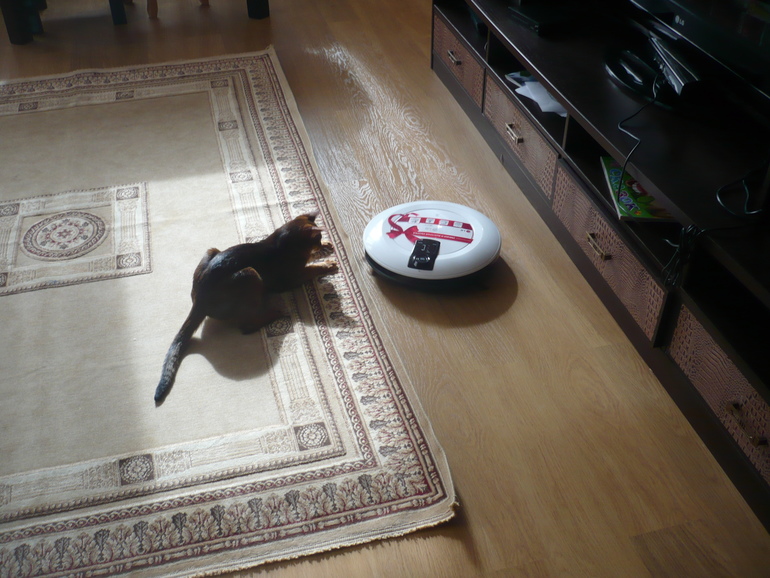 Тимофей Александрович :)