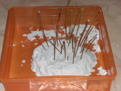 Хвастики - Ж-и-в-о-й    П-е-с-о-к