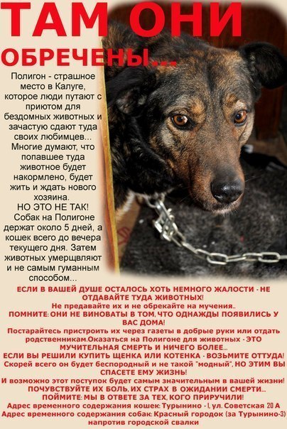 Может кто то поможет(((((((((