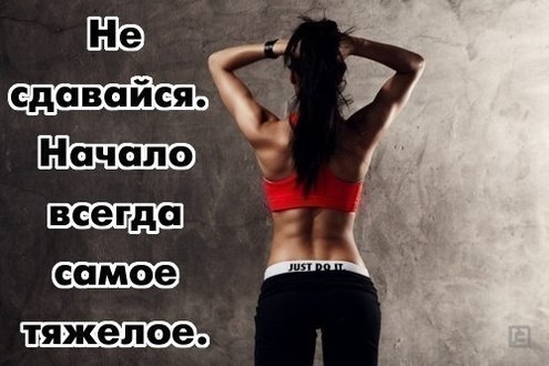 ad526cb46c2419b4a710d86deb2f2ae8.jpg