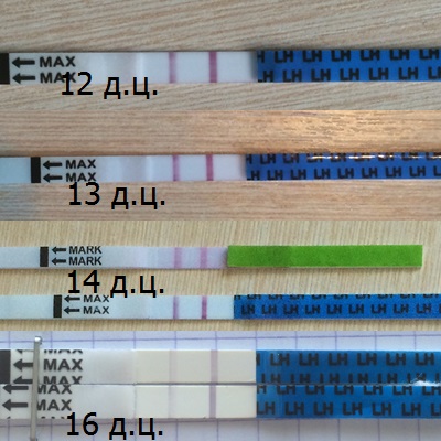 6de19fe9ca25064ff39056b18b6f3c0a.jpg