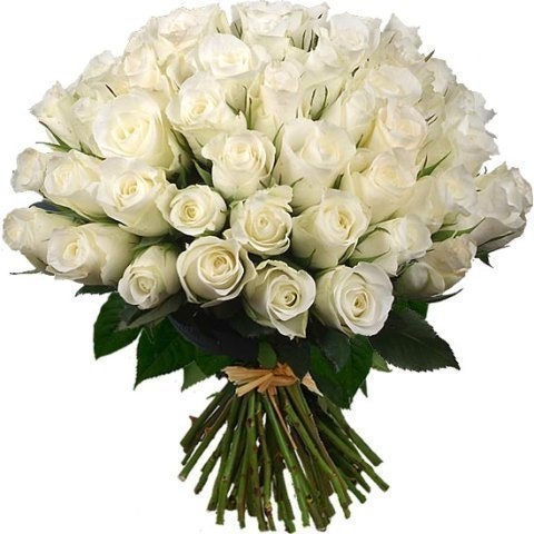 a877622710d7f20a83718d24add5fbb3.jpg