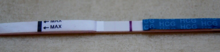 efb30271bc4667f669ff1d54904f2795.jpg