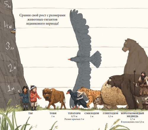 Animal growth. Рост животных. Рост животных кратко. Сравнение роста животных. Периоды роста животных.