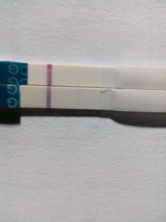 3ee0b81245499c52d05fa8099207f816.jpg