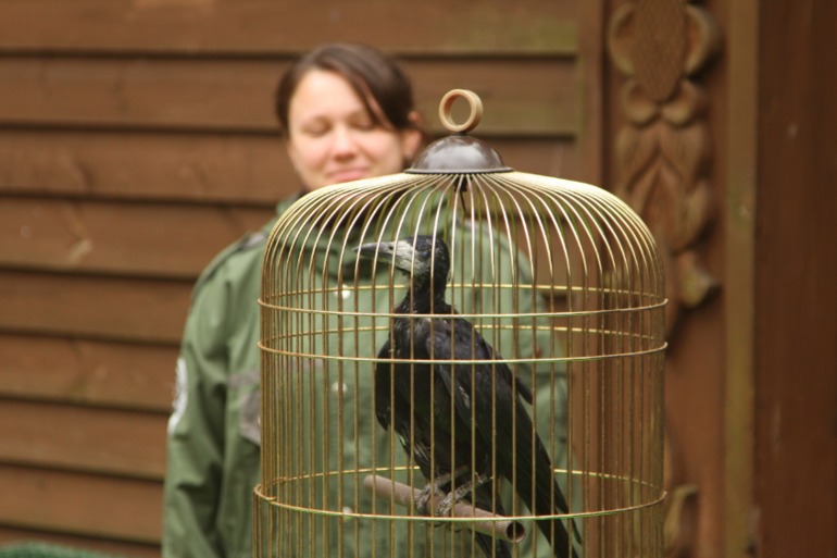 ЭПЦ «Царская пасека»