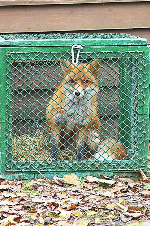 ЭПЦ «Царская пасека»