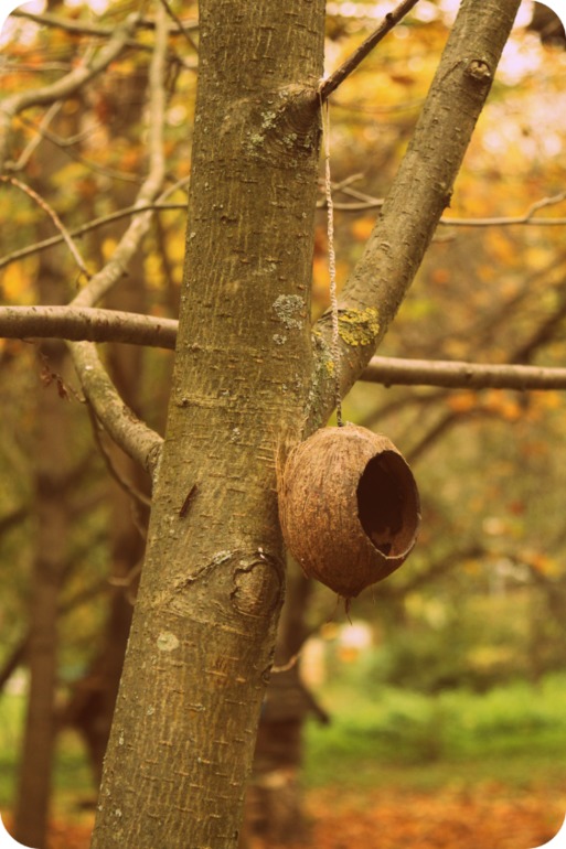 ЭПЦ «Царская пасека»