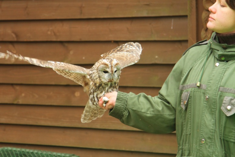 ЭПЦ «Царская пасека»