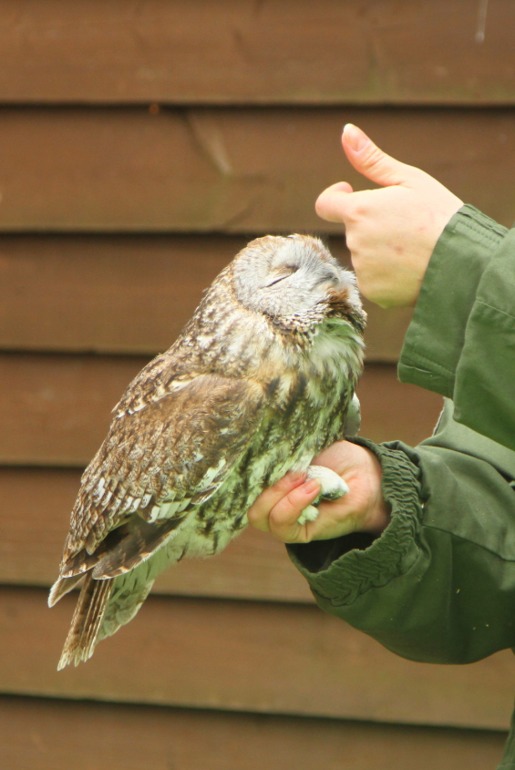 ЭПЦ «Царская пасека»